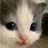 paulina.pradel